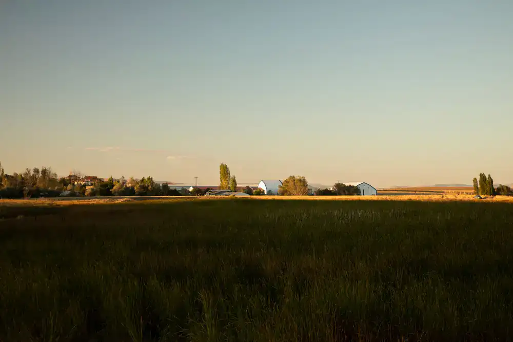 Meadow Valley gameplay showing farming and building