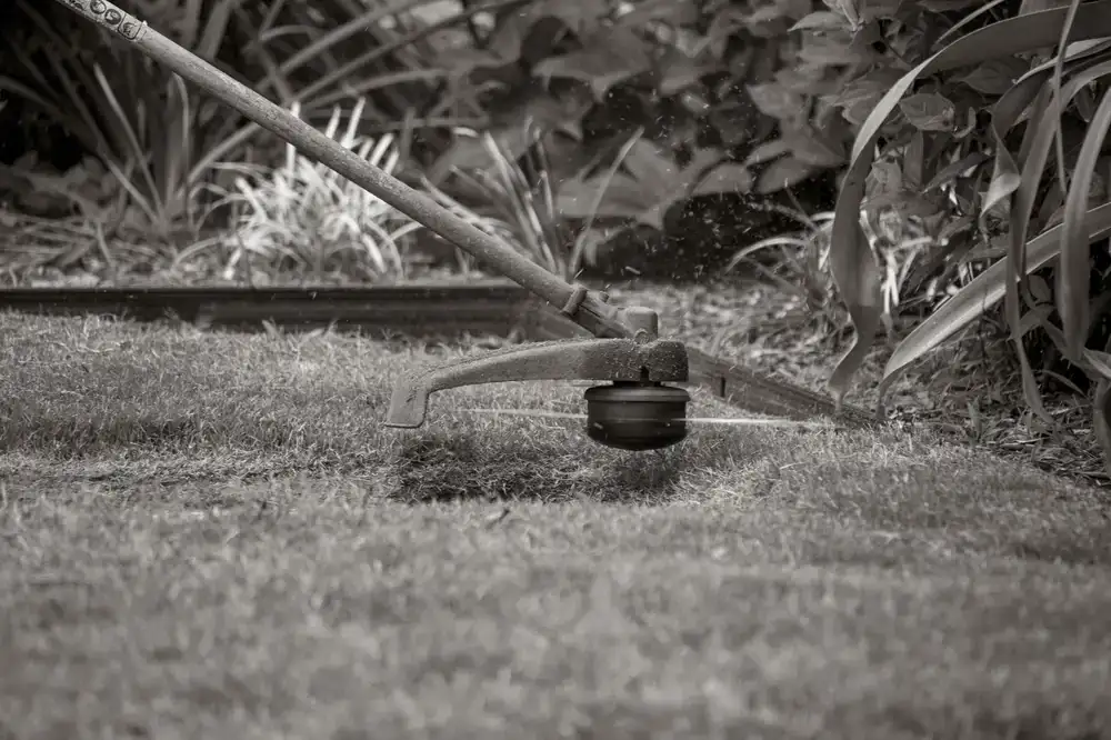 Player clearing weeds in the garden